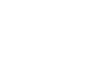 Alternative Text