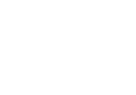 Alternative Text