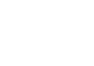 Alternative Text