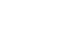 Alternative Text